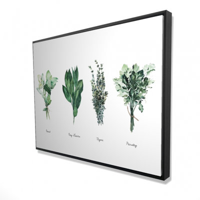 Fine Herbs Print On Canvas