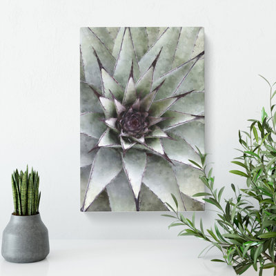The Succulent Plant - Wrapped Canvas Painting
