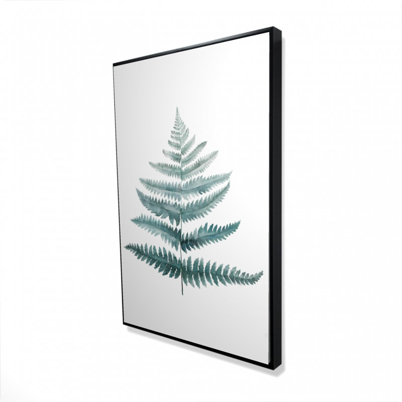 " Fern "