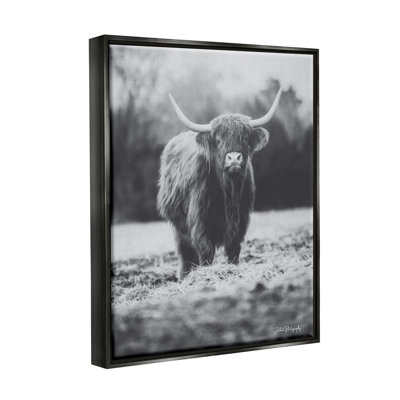 «Grazing Bovins Farmhouse», photographie sur toile flottante par Dakota Diener