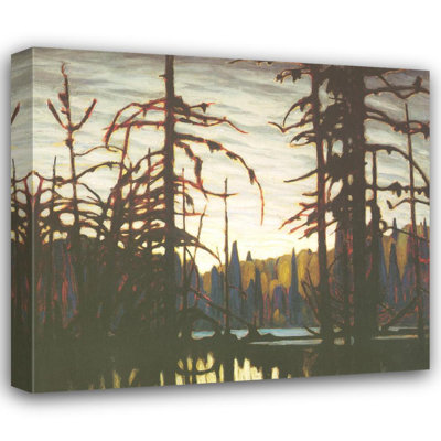 Beaver Swamp