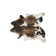 Abhinav Performance Cowhide Indoor Rug