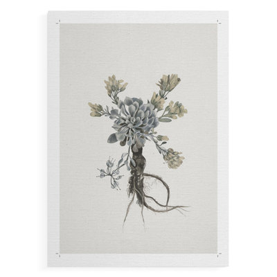 Imprimé floral rétro CCX - impression sur toile seulement - non encadrée