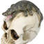 Figurine Ossuary Macabre