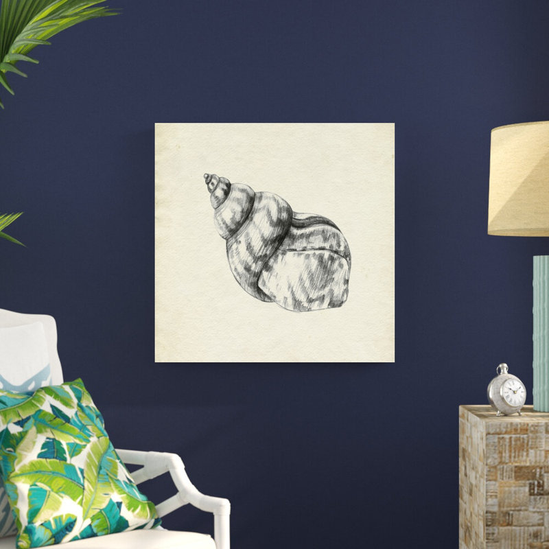 Coquillage croquis au crayon III, H 30 po x l 30 po