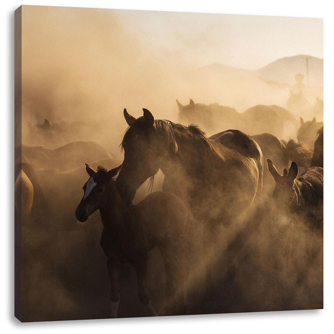 Leinwandbild Herd of Horses in the Dust at Sunset