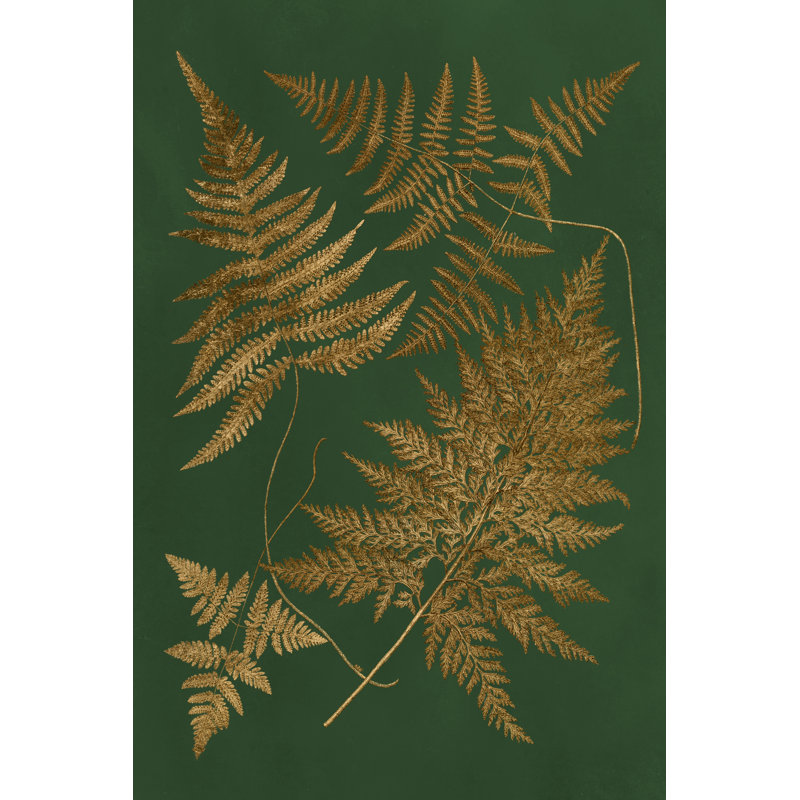 Gilded Ferns II - Wrapped Canvas Print, 46cm H x 30cm W x 3.8cm D