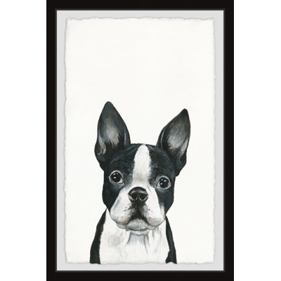Curious Doggy by Marmont Hill - Single Picture Frame Print