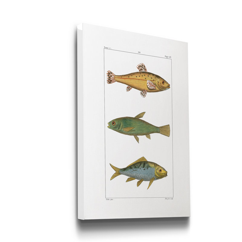 Reproduction d’art sur toile tendue « aquarium d’eau douce », H 27 po x l 18 po x P 1 po