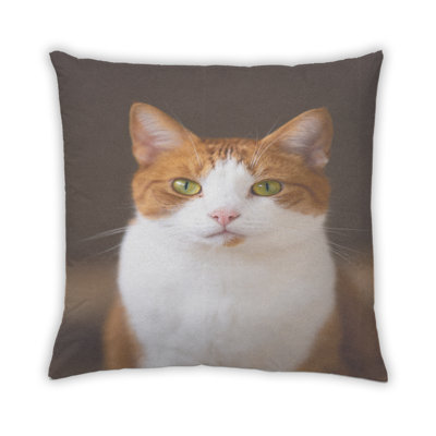 Coussin Cat Cats 68