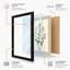 Specimen Study Botanical - Framed Print-935708111-935708144
