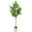 180cm Plant