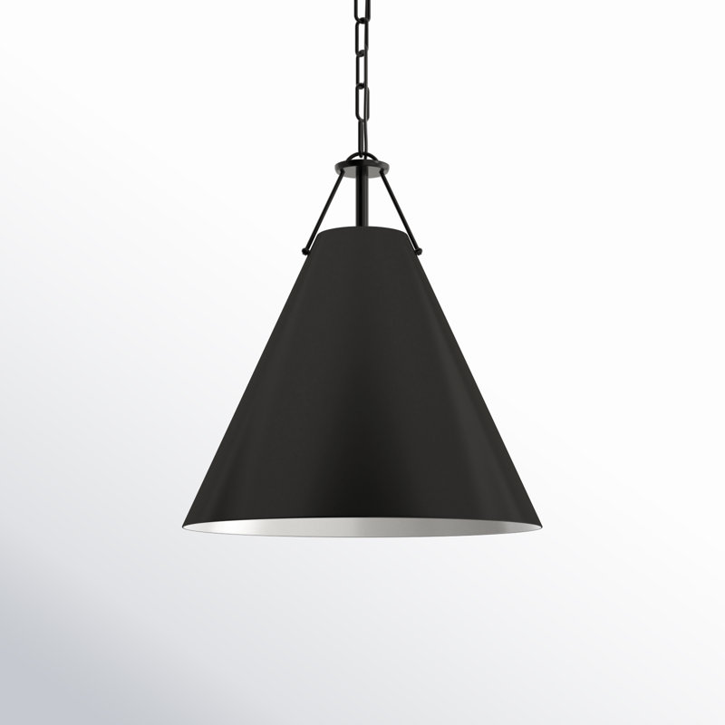 Kinston 1-Light Metal Cone Pendant, Black, Black