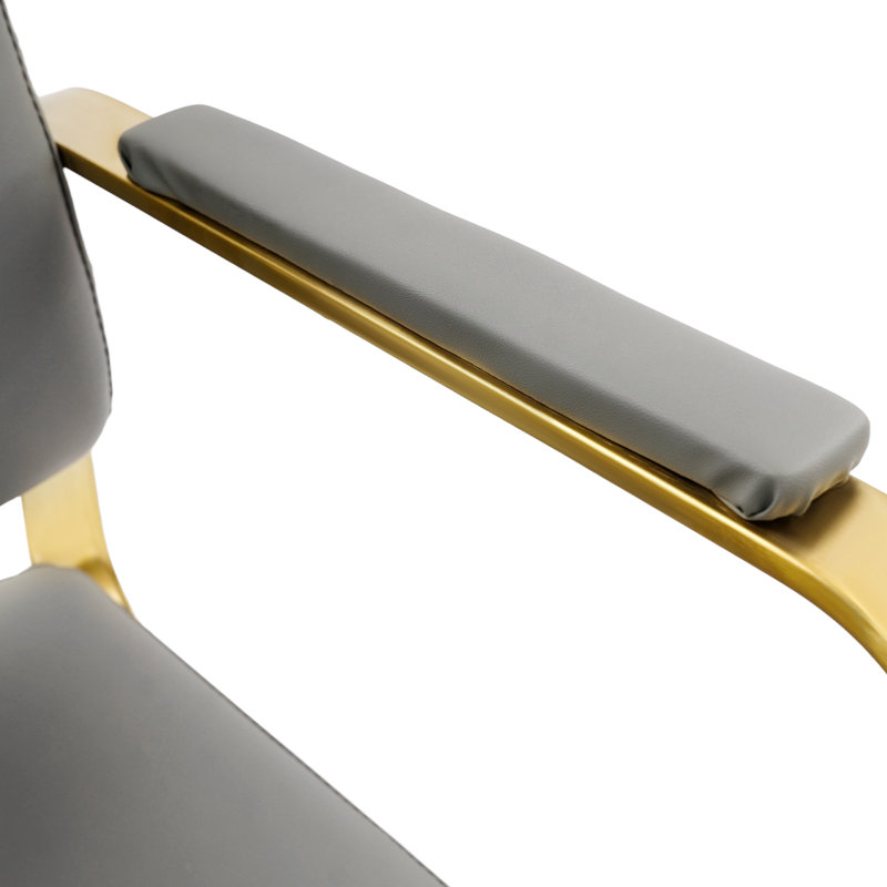 360° Rotating Adjustable Hair Salon Barber Chair, Gold, Gray