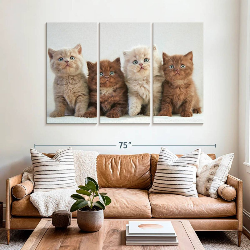 Brampt British Shorthair Cats, 42" H x 65" W