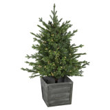 4' Pre-Lit Potted Deluxe Russian Pine Artificial Christmas Tree Warm White LED Lights