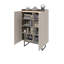 Allexys Rectangle Accent Cabinet