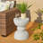 Rolston MGO Accent Stool-1998879827