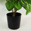 40cm Faux Tree in Pot Liner