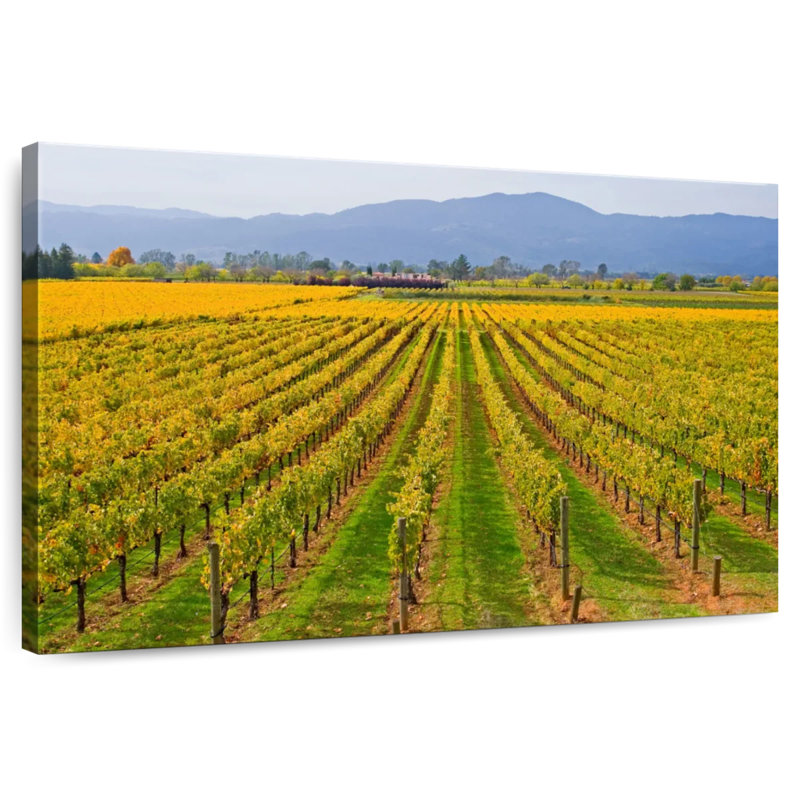 Alvord Vast Napa Valley Winery, H 20 po x l 30 po