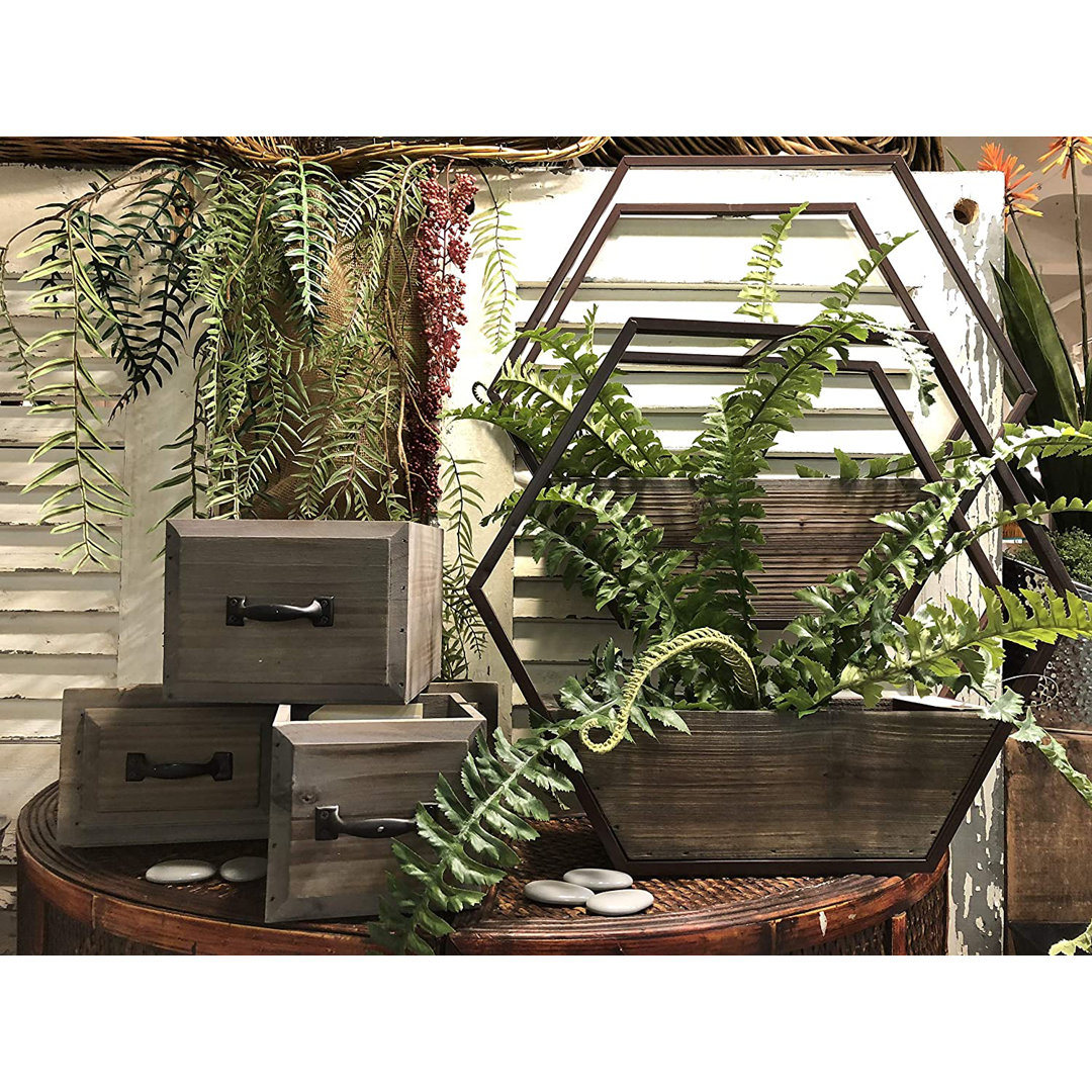 Kaeden Wood Wall Planter Union Rustic