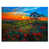Wrapped Canvas