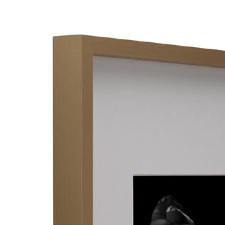 Mikasa Wood Gallery Wall Frame, 16x20 Matted to 8x10, 17x1.57x21 inch, Walnut