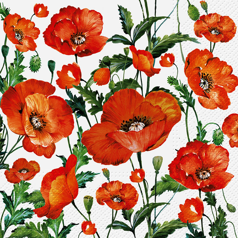 Serviettes jetables en papier Basic