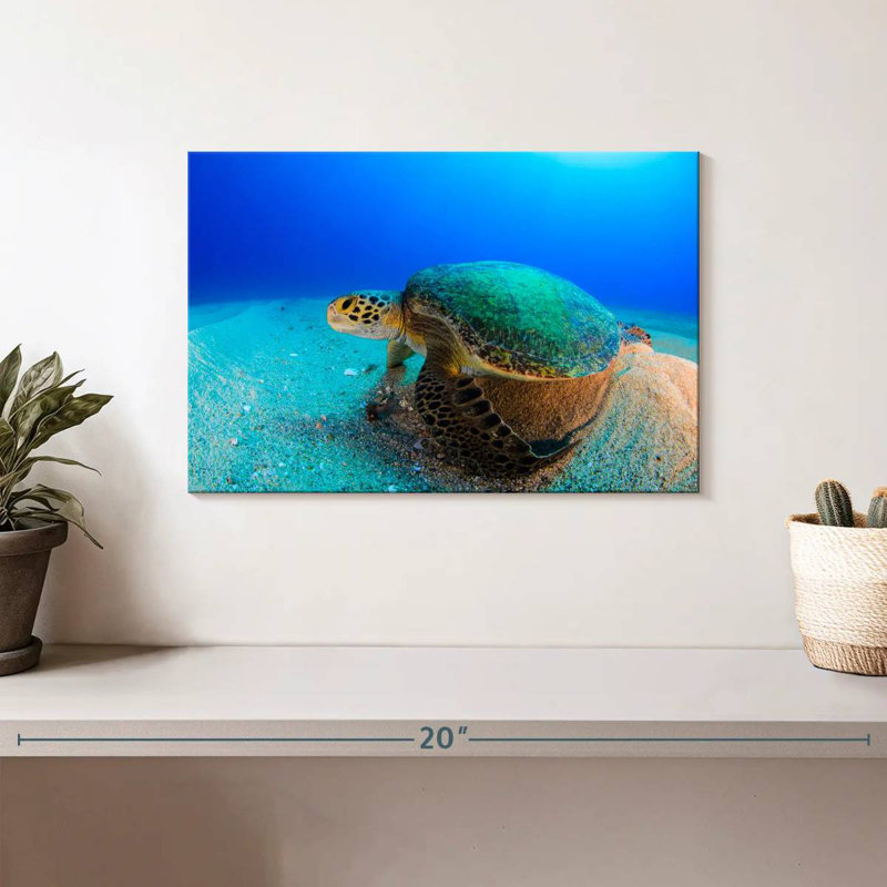 Brampt Resting Sea Turtle, 8" H x 12" W