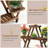 Plant Stand