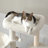 Emrynn 50'' H Cat Tree-2073957723