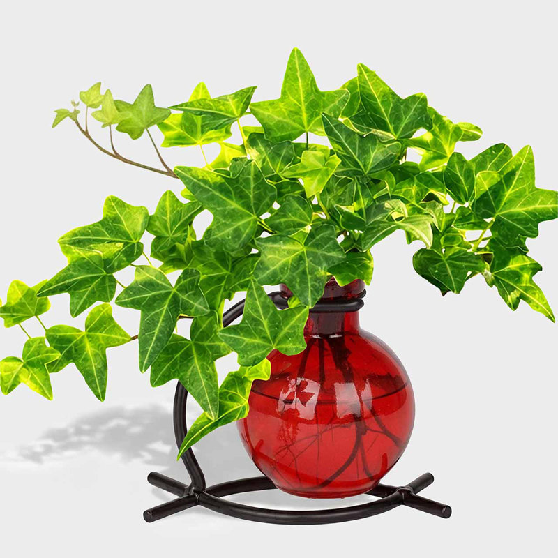 Berryville Bud Table Vase - Red, Red