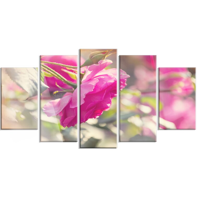DesignArt Beautiful Pink Rose Flowers On Canvas 5 Pieces Print ...