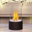 Brigitzer Bio-Ethanol Outdoor Tabletop Fireplace with Flame Guard-855356909