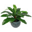 60cm Faux Fern Plant in Pot Liner-1560364593