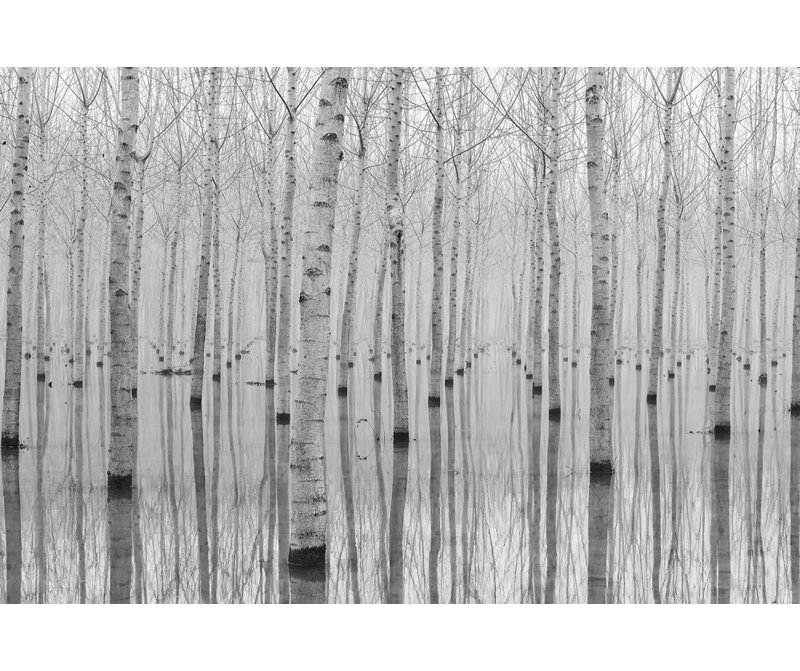 Wrapped Canvas Print, 50.8 cm H x 76.2 cm W