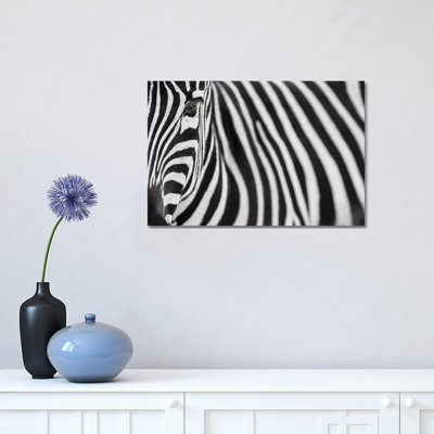 Zebra 20 1 Piece Wrapped Canvas Wall Art
