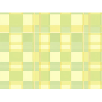 Checkered Comforter