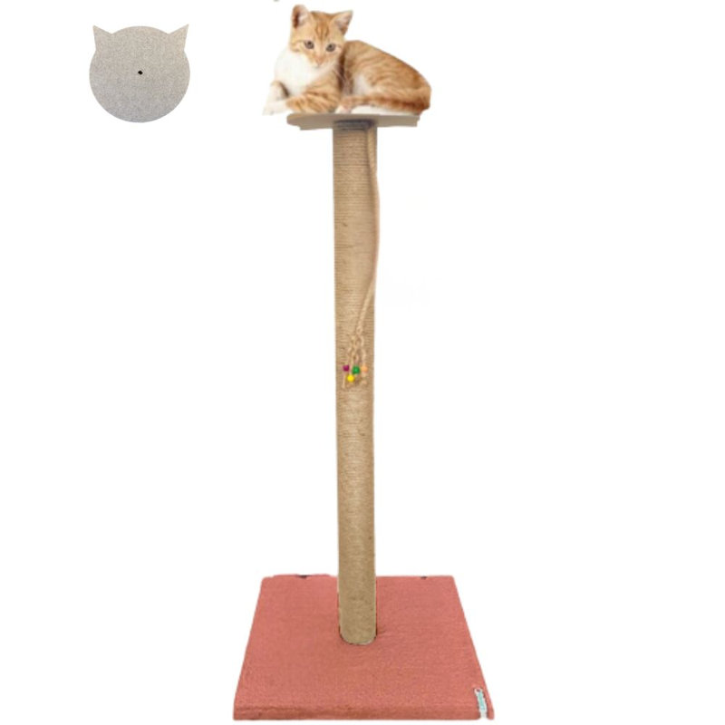 Grattoir pour chat, Corail