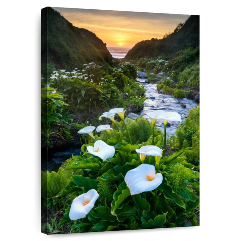 Harnek Calla, vallée des Lys au coucher du soleil, Garrapata SP, H 24 po x l 16 po