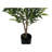 Artificial Plant
