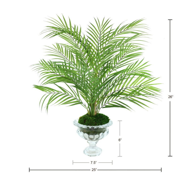 Palm And Moss Arranged In A Clear Glass Bowl Vase