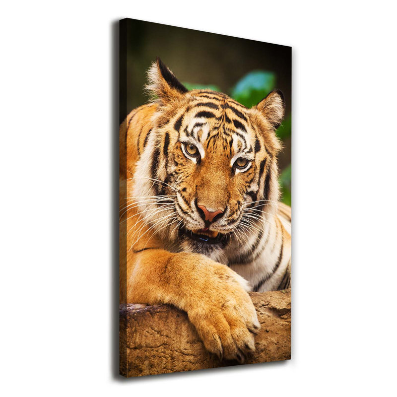 Bengal Tiger - Wrapped Canvas Print