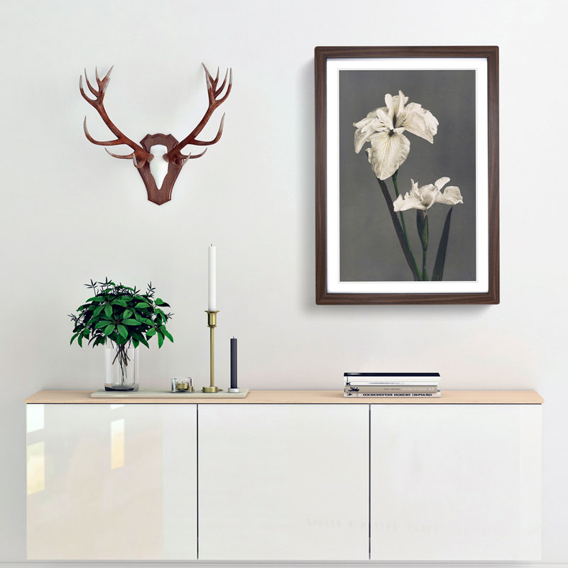 White Iris Flower by Kazumasa Ogawa - Framed Print, 36cm H x 27cm W x 2cm D, Walnut Framed