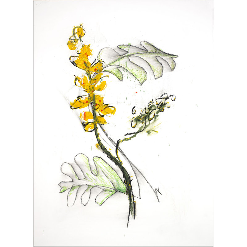 Leaf And Flower 3 Print