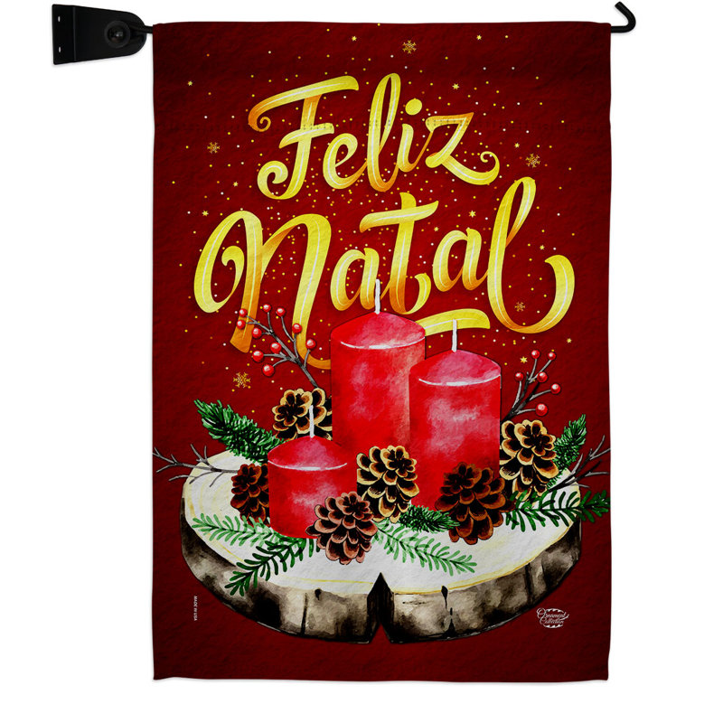 Double Sided 18.5'' H x 13'' W Polyester Christmas Flag Set