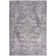 Lyiah Oriental Machine Washable Polyester Area Rug in Gray