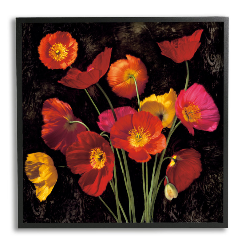" Red Poppies Photography " by John Seba, Midnight Black Framed Giclee, 12" H x 12" W x 1.5" D
