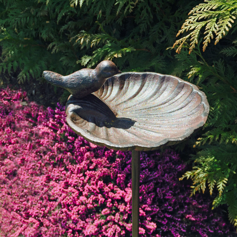 Aleana Metal Scallop Birdbath