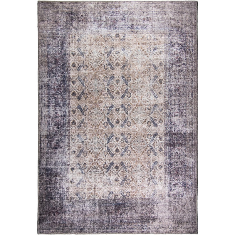 Jessiel Washable Oriental Indoor Rug, Rectangle 5' x 7'